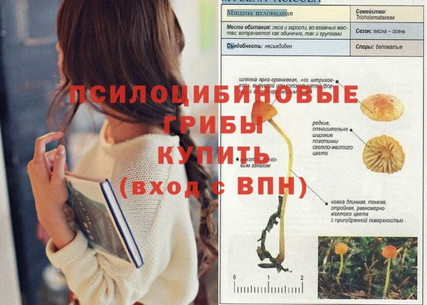 спиды Володарск