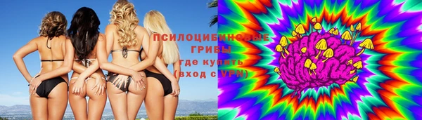 спиды Володарск