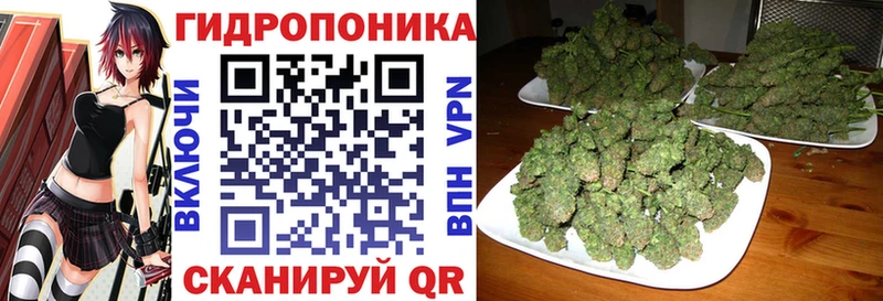 МАРИХУАНА White Widow  Купить где  Туринск 